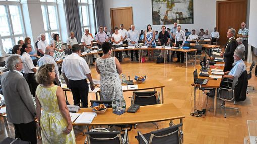 Der Lahrer Gemeinderat, hier bei der ersten Sitzung nach der Kommunalwahl 2019, hat im Altkreis Lahr die höchste Frauenquote. Foto: Schabel/Archivbild