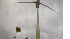 Windräder: Grüne mit Fragen zum Artenschutz