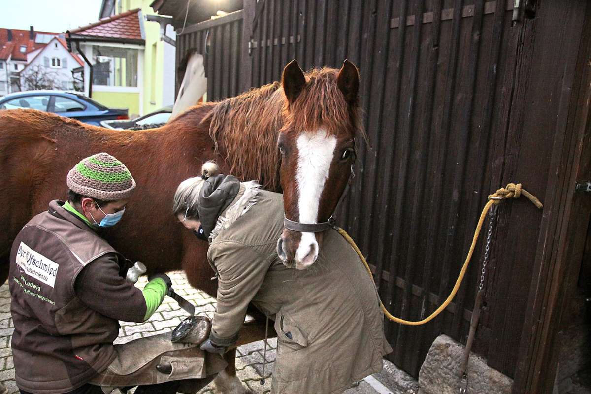 Sunnys Besitzerin Veronika Klaffschenkel ist dem Hufschmied beim Ausputzen der Hufe behilflich.   Foto: Beiter