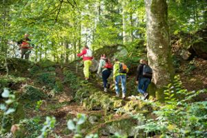 Bei Vollmond, Sonnenaufgang oder in einem Rollentausch erleben die Teilnehmer der Touren den Wald auf unterschiedlichste Weise. Foto: Naturpark Schwarzwald