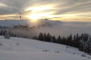 Januar zeigt sich nur wenig winterlich: Wärmster Neujahrstag seit Messbeginn in Ettenheimmünster