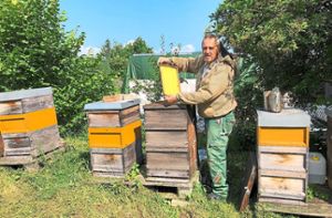 Ludwig Englert und viele seiner Imkerkollegen aus dem Zollernalbkreis haben den Sommer 2021 bereits als verloren abgehakt: Ihre Bienen haben keinen oder nur ganz wenig Honig erbracht. Foto: Schmieg