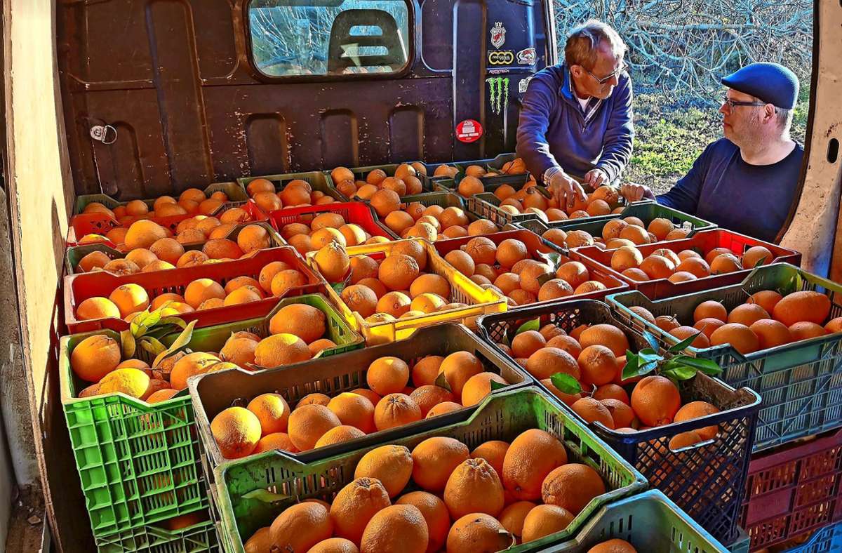 Campingplatz in Linach: Warum es beim Wilden Michel nun fair gehandeltes Obst und Gemüse gibt
