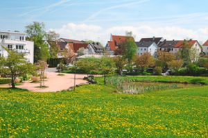 Der Postwiesenpark könnte als Freizeitgelände aufgewertet werden. Foto: Ziechaus Foto: Schwarzwälder Bote