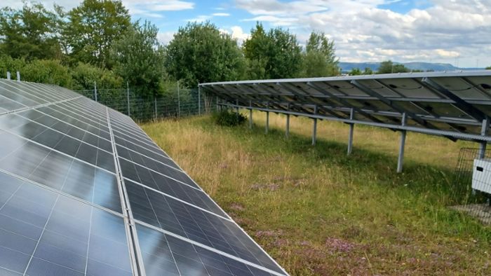 40 Hektar für Photovoltaik sind genug