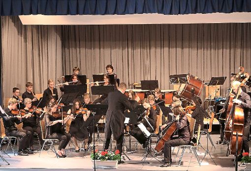 Das Orchesterkonzert der Wildberger Musikschule bewegte sich musikalisch durch zahlreiche Epochen.  Foto: Priestersbach Foto: Schwarzwälder-Bote