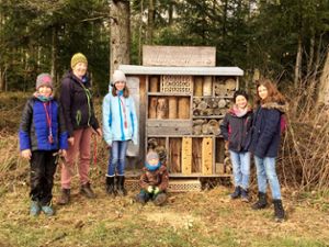 Die Kinder haben das Wildbienenhaus erneuert. Foto: Albverein Foto: Schwarzwälder Bote