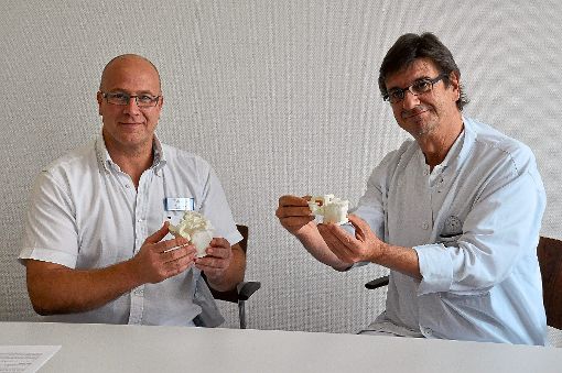 Zeigen die 3D-Nylon-Schnittmuster für Knie-Operationen: Oberarzt Ralf Hage (links) und Chefarzt Christian Friz. Foto: Ungureanu