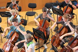 Auch Instrumenalensembles treten beim Regionalwettbewerb Jugend musiziert an. Foto: Jugendmusikschule Baiersbronn Foto: Schwarzwälder-Bote