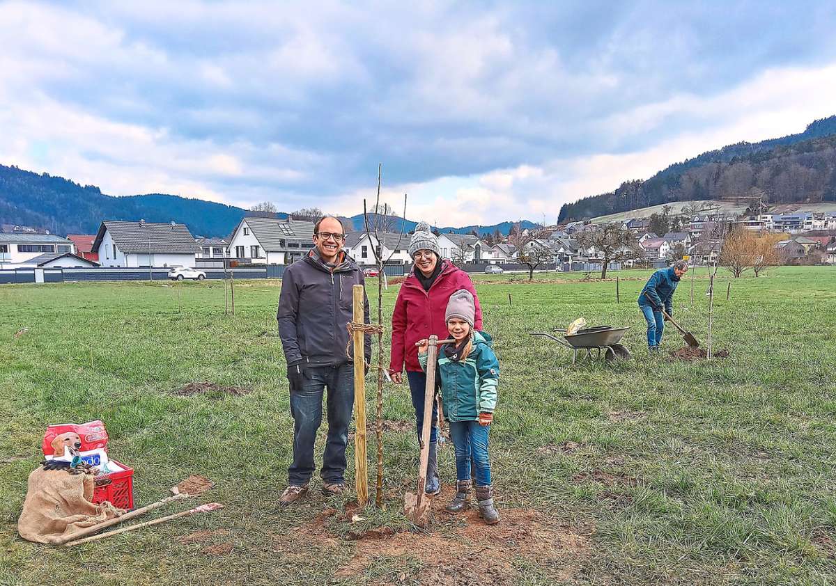 Erik und Carola Buboltz mit ihren Kindern Eloise und Anthony sind eine der Baumpaten-Familien, die sich den Wunsch nach der alten Apfelsorte „Goldparmäne“ auf der Haslacher Storchenwiese verwirklichen. Foto: Störr
