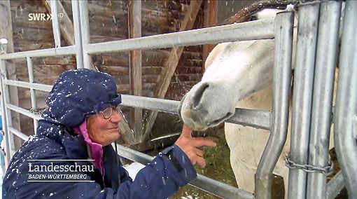 Krystyna Laskowski  bangt um ihre Existenz und ihre Pferde. Screenshot: SWR Landesschau Foto: Schwarzwälder-Bote