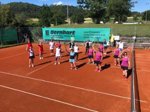 Erfolgreiche Tennis-Damen in der Hobbyrunde –  aber mit turnierähnlichem Spielbetrieb. Foto: Pfister Foto: Schwarzwälder Bote