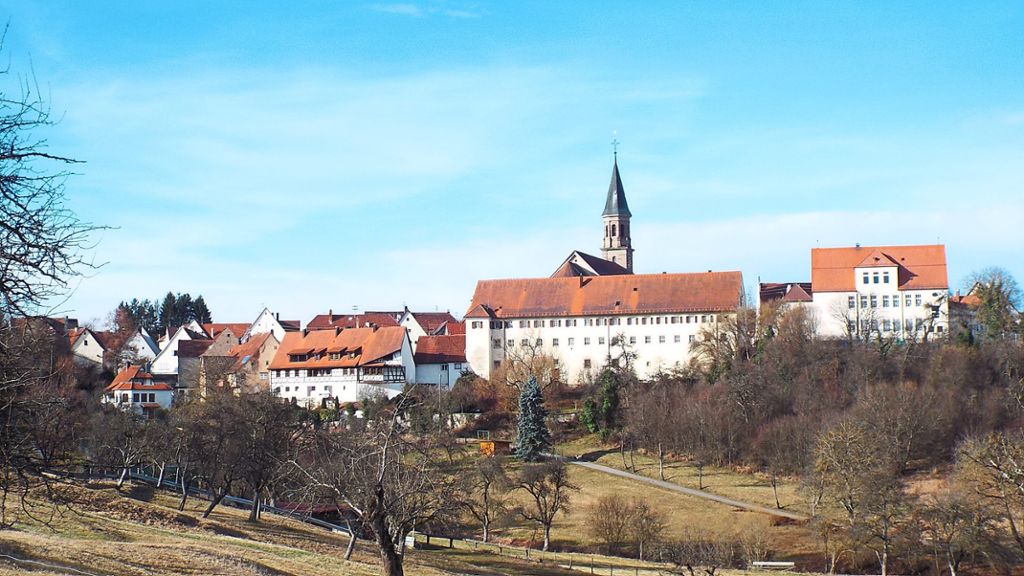 Aus der Distanz sind die Größe und zentrale Lage des ehemaligen Klosters im Herzen der kleinen Stadt Binsdorf gut zu erkennen. Archivfoto: Schnurr Foto: Schwarzwälder Bote