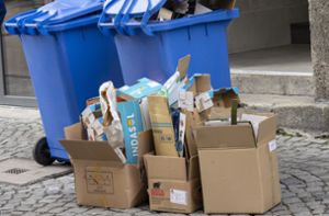 Eine Mitarbeiterin des Lidl-Markts in Schramberg klagt ihr Leid – dort würde Müll abgelagert. (Symbolfoto) Foto: dpa/Peter Kneffel