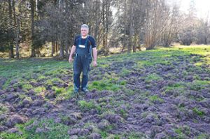 Der Aufwand für Manfred Brüstle ist groß, um die umgepflügte Weide wieder herzurichten. Foto: Fritsche Foto: Schwarzwälder Bote