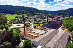 Das   Areal der Calwer Deckenfabrik in Iselshausen bietet einiges an Potenzial. Foto: Thomas Fritsch
