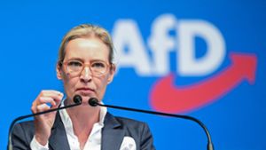 AfD will erstmals Kanzlerkandidaten aufstellen