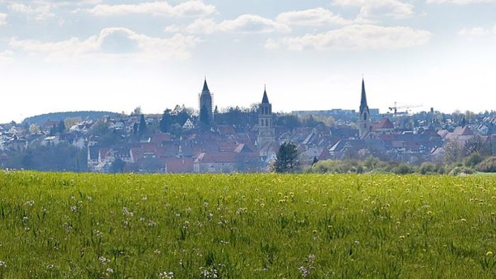 Neckartour bietet idyllische Ausblicke auf Stadtsilhouette