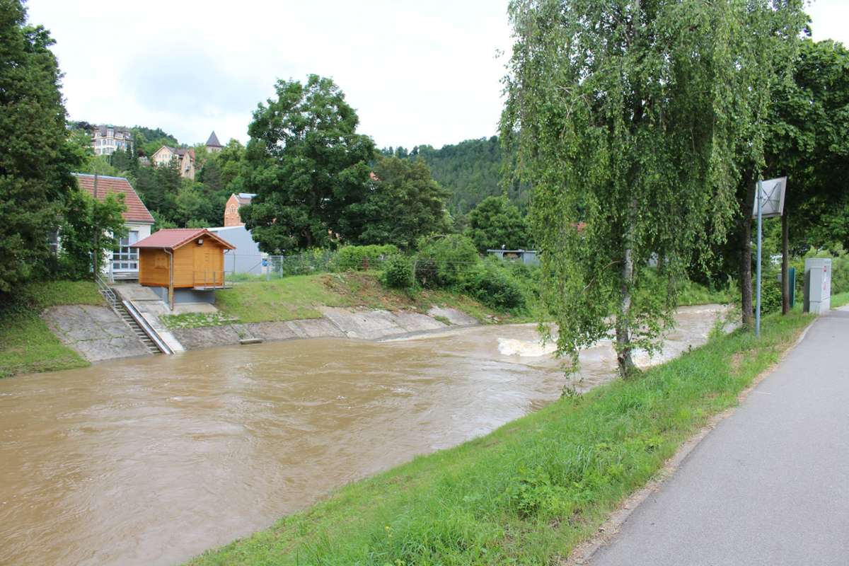Aufreger in Oberndorf: Fast 850 Bürger wollen Bäume vor Hochwasserarbeiten retten