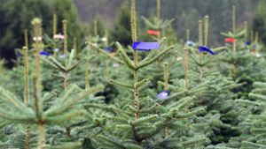 300 Weihnachtsbäume mit Buttersäure beschmiert