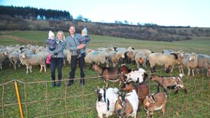 Schafehüten ist die Leidenschaft der Familie