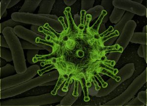 Das Corona-Virus Foto: Pixabay