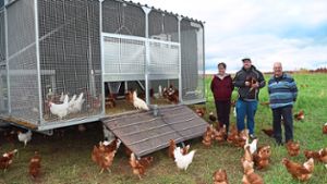 In Mönchweiler dürfen Hühner wieder auf die Wiese
