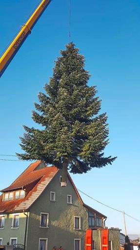 Vom Himmel hoch, da kommt er her, der Hüfinger Christbaum. Foto: Martin Foto: Schwarzwälder Bote