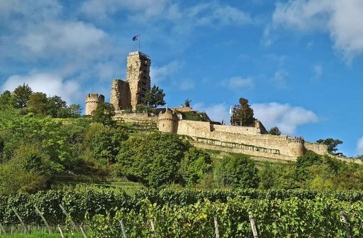 Wandertipps für Baden-Württemberg und Rheinland-Pfalz: Deidesheim und Wachenheim – Pfälzer Weinlandschaften mit Fernblick