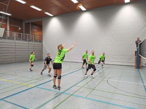Einen  Sieg und eine Niederlage gab es für die Wolfacher Volleyballer.  Foto: Verein Foto: Schwarzwälder Bote