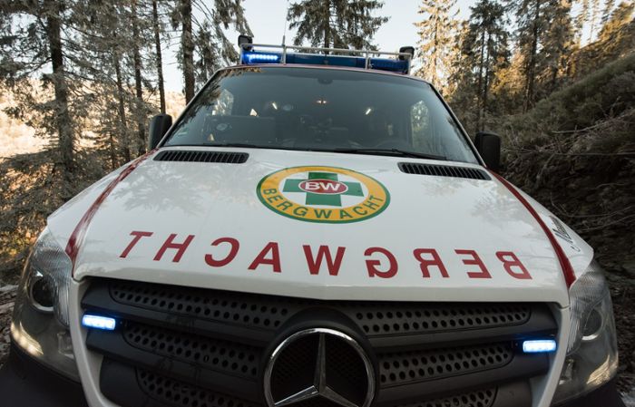 Von Baumstamm getroffen: Waldarbeiter in Hofstetten schwer verletzt