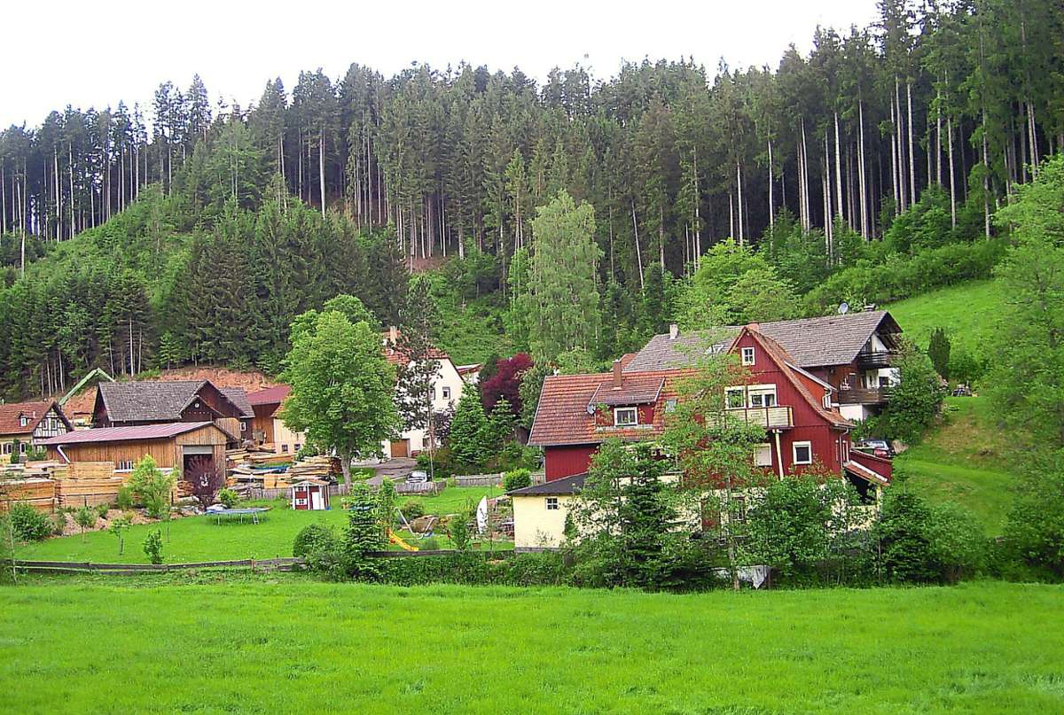 Der zu Breitenberg gehörende Weiler Weikenmühle an der Teinach mit dem modern ausgestatteten Sägewerk und Wohnhäusern liegt zwischen Wald und Wiesen. Foto: Schabert