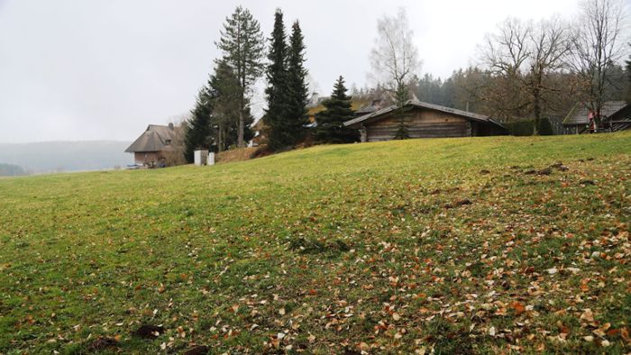 Gasthaus Staude plant Bau von  Chalets