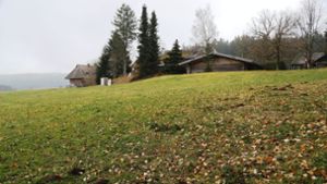 Tourismus in Triberg: Gasthaus Staude plant Bau von  Chalets