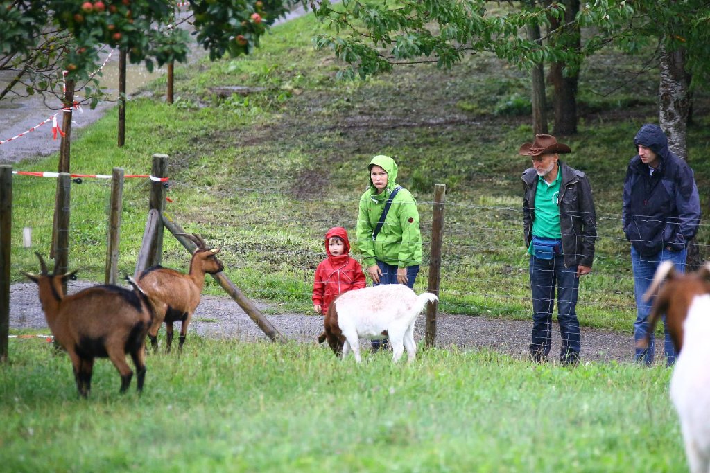 Auch das Ziegenfest in Rexingen wurde vom Dauerregen nicht verschont. Wer einen Abstecher zu den Ziegen machen wollte, musste das mit Regenkleidung machen. Ähnliches erlebten die ... Zur Bildergalerie