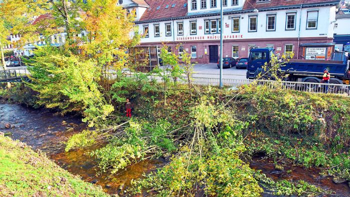 Bäume an der Schiltach-Bachmauer fallen für den Wasserabfluss