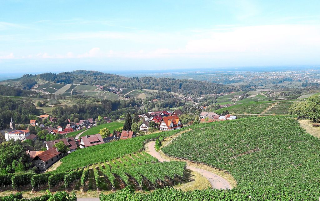 Das Weinland Breisgau hat viele schöne Ecken, auf dem Breisgauer Weinweg kann man diese wandernd erleben. Fotos:  thü