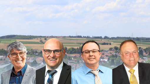 Die vier Kandidaten im Livetalk. Foto: Grafik Heidepriem