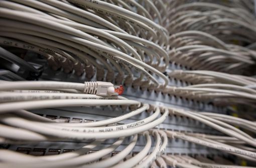 Netzwerkkabel stecken in Ports eines Switchs. Foto: Murat