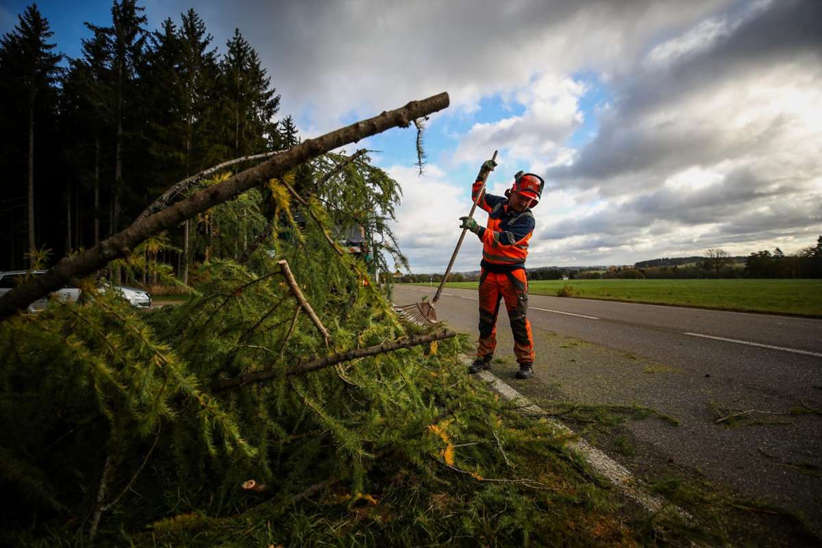 In VS-Pfaffenweiler stürzte ein Baum auf die Landstraße. Foto: Marc Eich