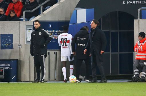 Bruno Labbadia und der VfB kamen in Hoffenheim nicht über ein 2:2-Unentschieden hinaus. Foto: Pressefoto Baumann/Julia Rahn