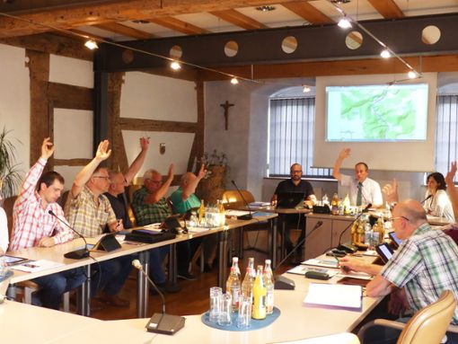 Deutliches Votum im Stettener Gemeinderat – das Gremium stimmte der Haushaltssatzung des IGGS zu. Foto: Grimm Foto: Schwarzwälder Bote