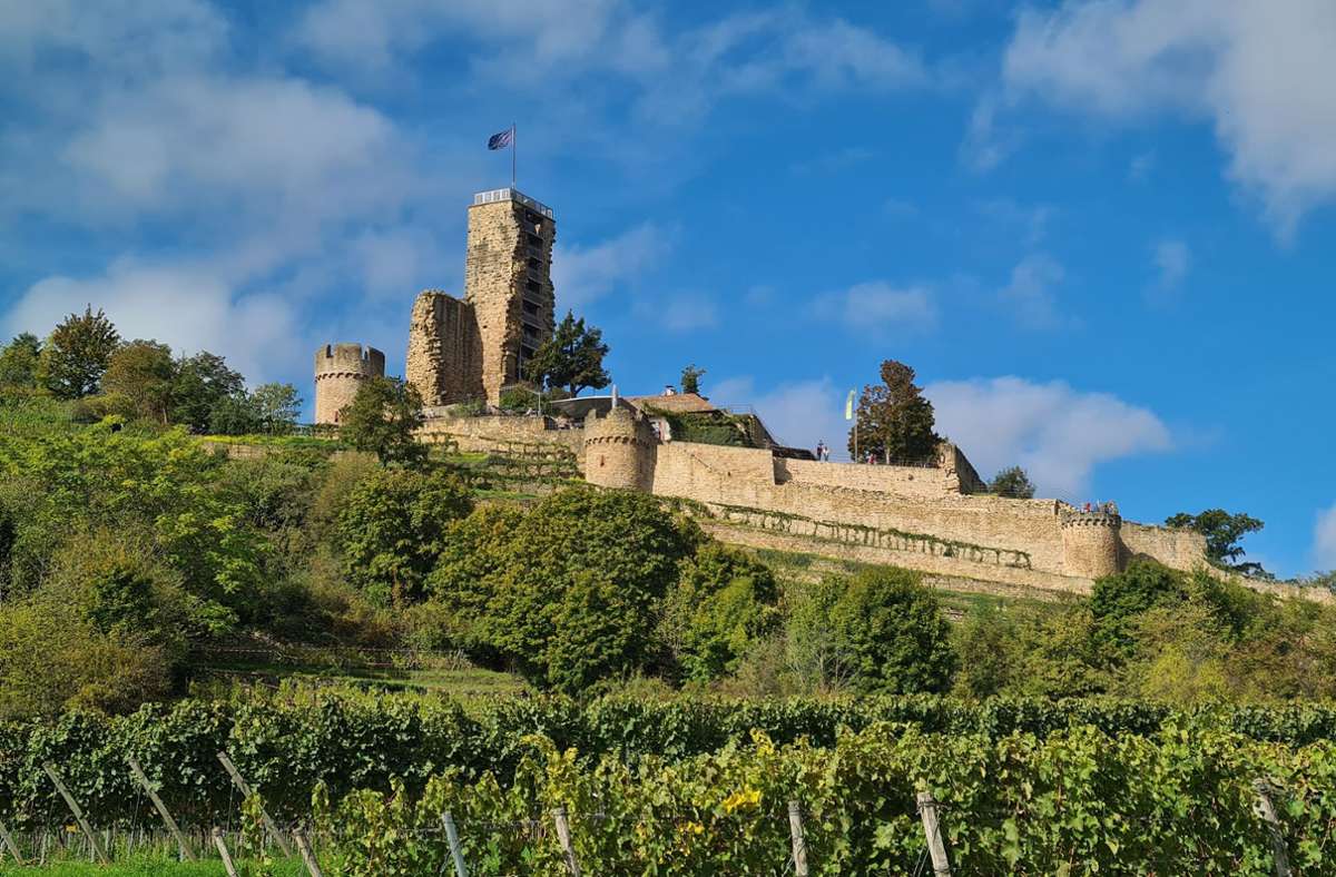Wandertipps: Pfälzer Weinlandschaften mit Fernblick
