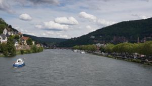 Schwimmerin aus Neckar gerettet