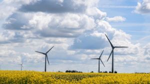 Windkraft schlägt Artenschutz
