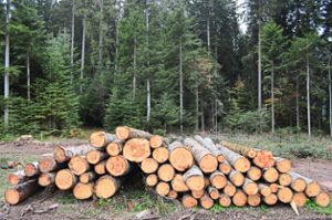 Änderungen gibt es in der Forstwirtschaft, wie im Gemeinderat deutlich wurde. Foto: Herzog Foto: Schwarzwälder Bote