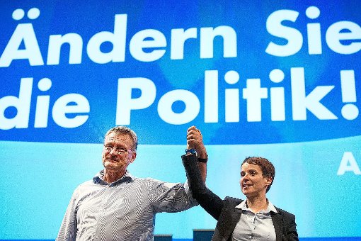 Das neue Duo an der Spitze der Alternativen für Deutschland: Jörg Meuthen und Frauke Petry. Foto: Hitij Foto: Schwarzwälder-Bote
