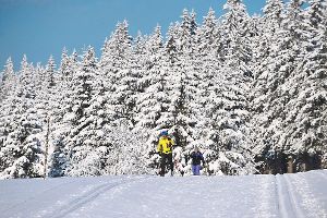 Die Langläufer freuen sich ebenso über die perfekten Schneeverhältnisse. Foto: Ferienland Foto: Schwarzwälder-Bote