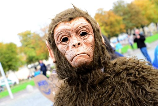 Gegen die Affenversuche des Tübinger Max-Planck-Instituts gab es anhaltende Proteste. Foto: www.7aktuell.de |