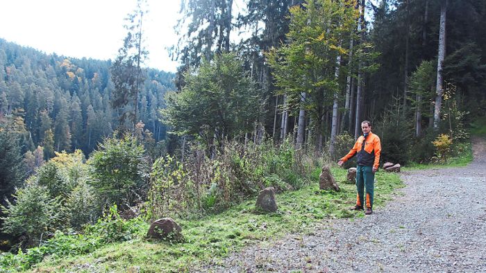Neuweiler Waldbesitzer beklagt 